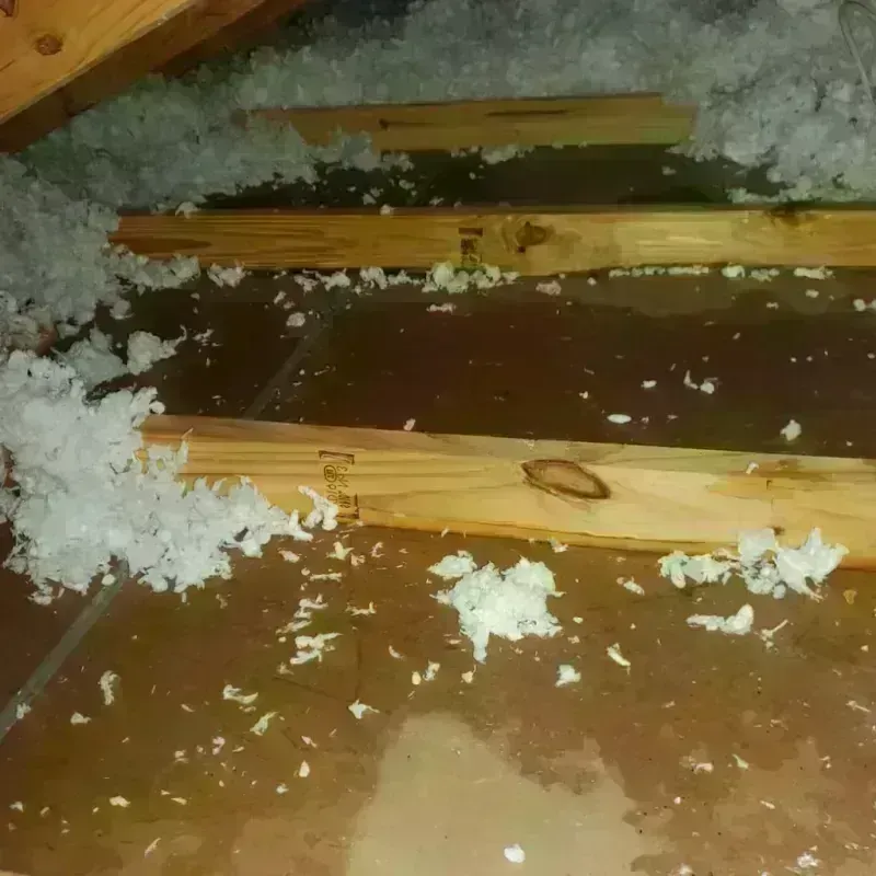 Attic Water Damage in Warren, MI