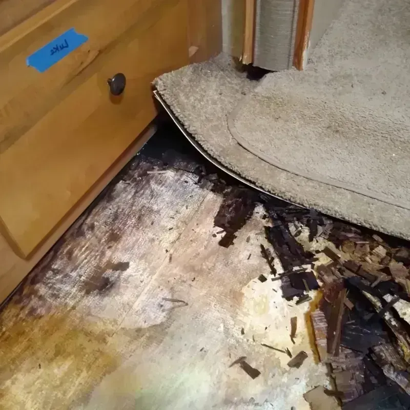 Wood Floor Water Damage in Warren, MI